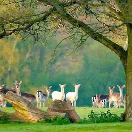 New Forest Retreat Shorefield Country Park Ξενοδοχείο Lymington Εξωτερικό φωτογραφία