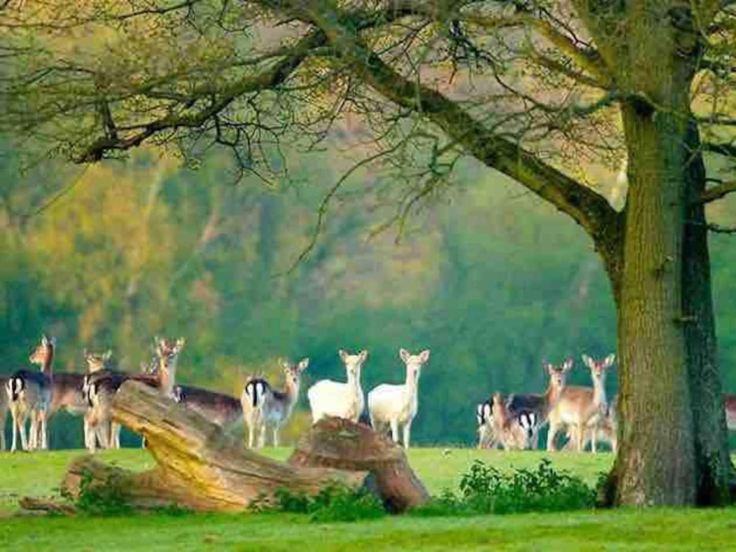 New Forest Retreat Shorefield Country Park Ξενοδοχείο Lymington Εξωτερικό φωτογραφία