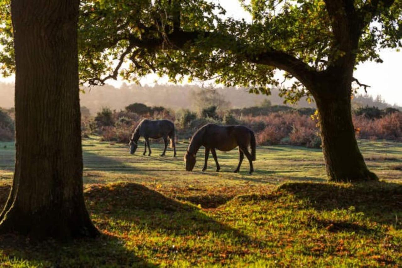 New Forest Retreat Shorefield Country Park Lymington Εξωτερικό φωτογραφία